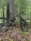 Orbea Rallon M20