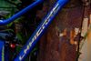 Lapierre Spicy CF 