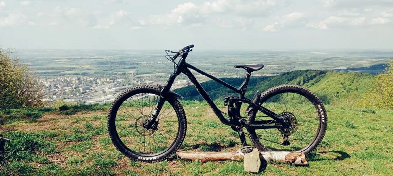 Norco sight a2