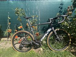 Cervélo Caledonia 5 2024
