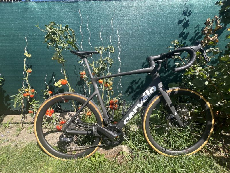 Cervélo Caledonia 5 2024
