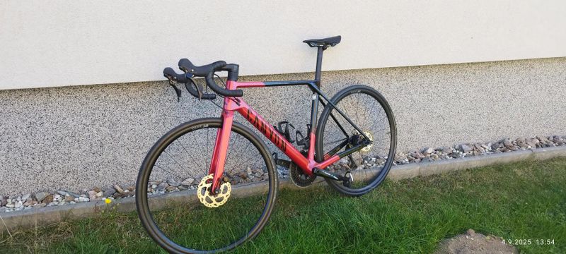 Canyon cf sl 7