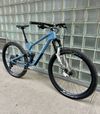 Radon Skeen Trail CF 10.0 2021, 29“, karbon