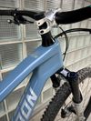 Radon Skeen Trail CF 10.0 2021, 29“, karbon