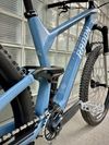 Radon Skeen Trail CF 10.0 2021, 29“, karbon