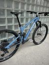 Radon Skeen Trail CF 10.0 2021, 29“, karbon