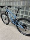 Radon Skeen Trail CF 10.0 2021, 29“, karbon