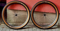 EIE Carbon / DT 180 EXP / Sapim CX Ray / 1200 g