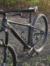 GT Avalanche Expert 2019