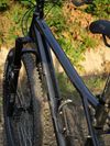 GT Avalanche Expert 2019