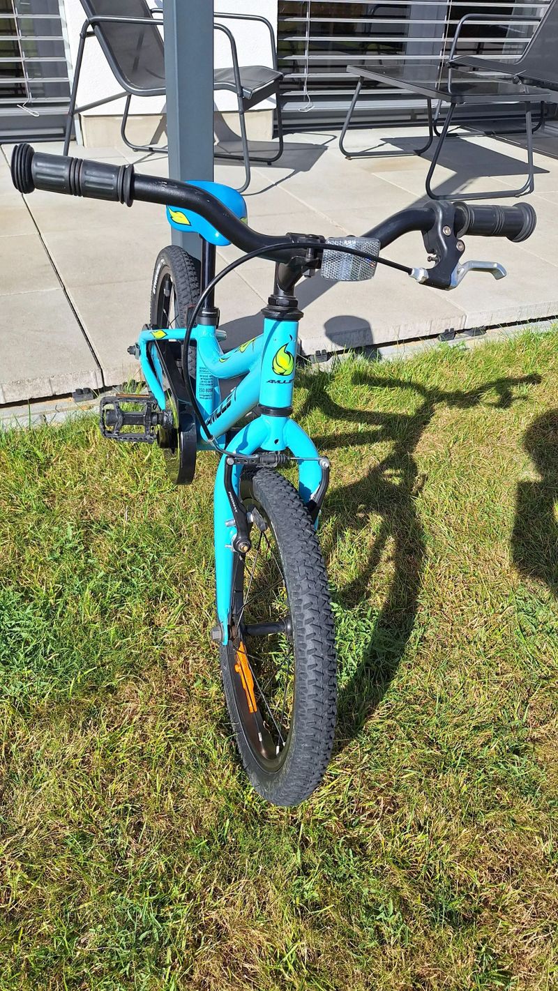Amulet Mini 16 Lite