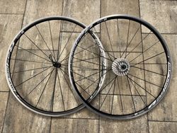 Silničí kola DT Swiss R24 Spline