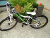 Rock Machine Surge 24" Top stav