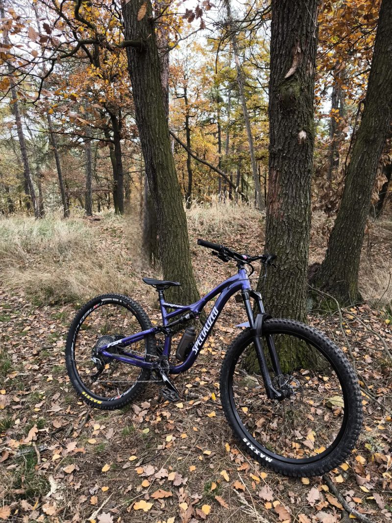 Specialized Stumpjumper