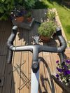 Madone