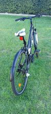LEADER FOX TOSCANA LADY VELIKOST 17"