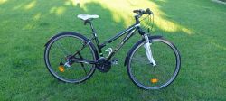 LEADER FOX TOSCANA LADY VELIKOST 17"