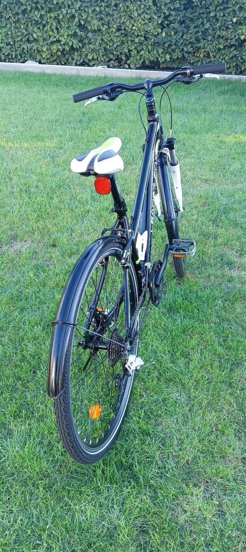 LEADER FOX TOSCANA LADY VELIKOST 17"