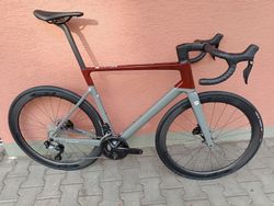 Focus Izalco Max 8.9 XL