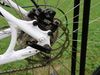 Specialized