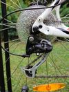 Specialized