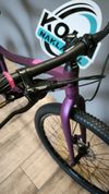 MRX Barbus Face 27 2025