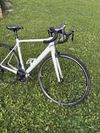 Canyon Endurace CF 7 WMN