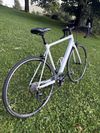 Canyon Endurace CF 7 WMN