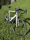 Canyon Endurace CF 7 WMN