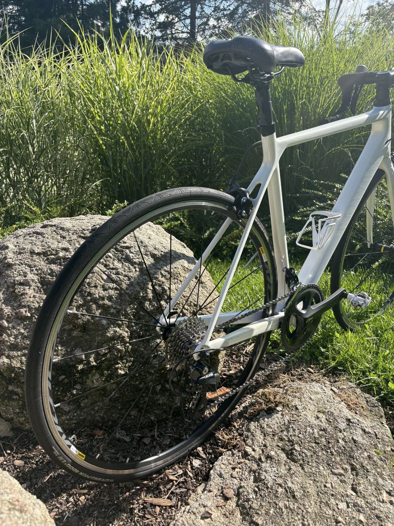 Canyon Endurace CF 7 WMN