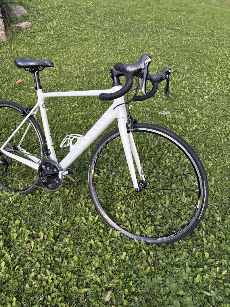 Canyon Endurace CF 7 WMN