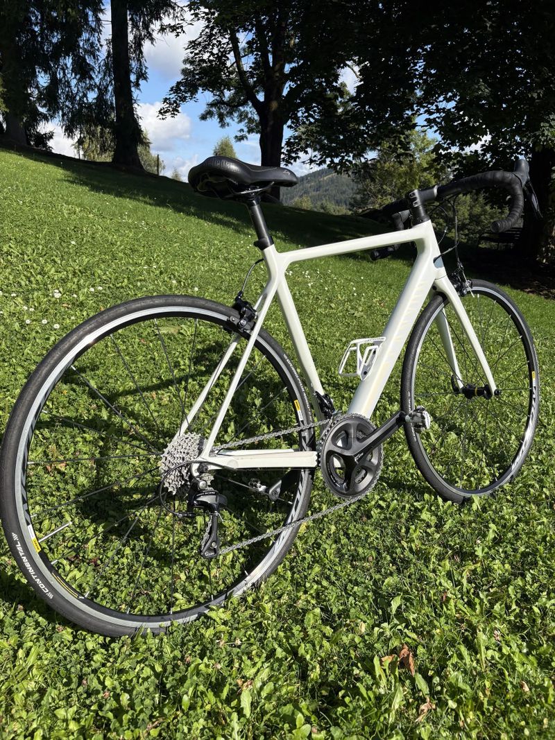 Canyon Endurace CF 7 WMN
