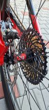 Orbea Rise