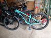 Trek Roscoe 7