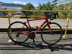 Focus izalco race