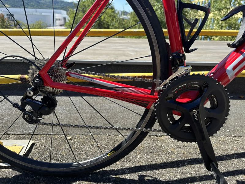 Focus izalco race