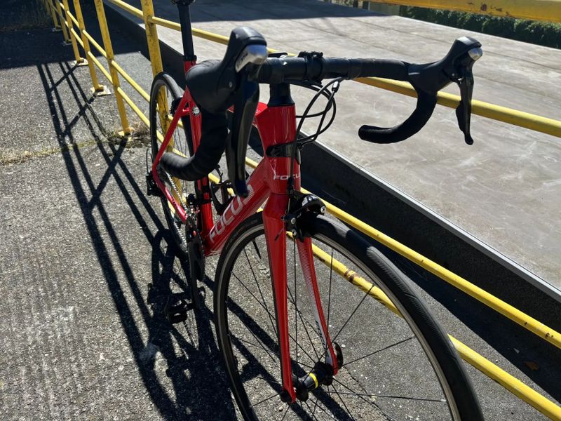 Focus izalco race