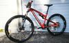 Rocky Mountain Instinct 950