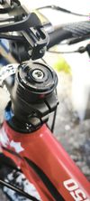 Rocky Mountain Instinct 950