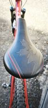 Rocky Mountain Instinct 950