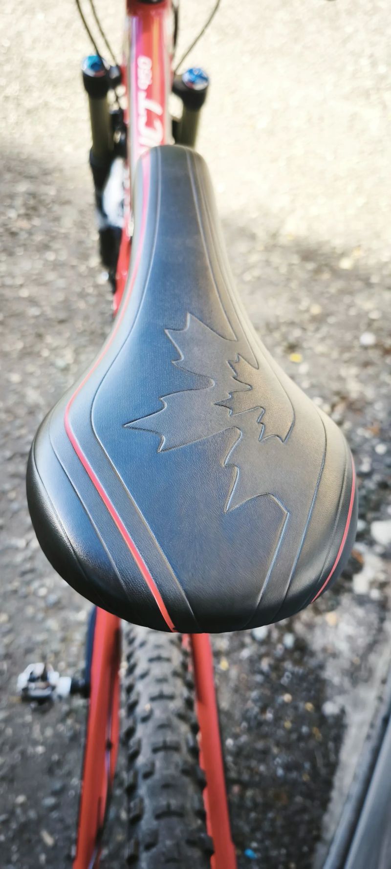 Rocky Mountain Instinct 950
