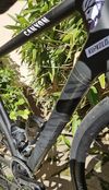 Canyon Ultimate CF SLX Disk