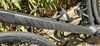 Canyon Ultimate CF SLX Disk