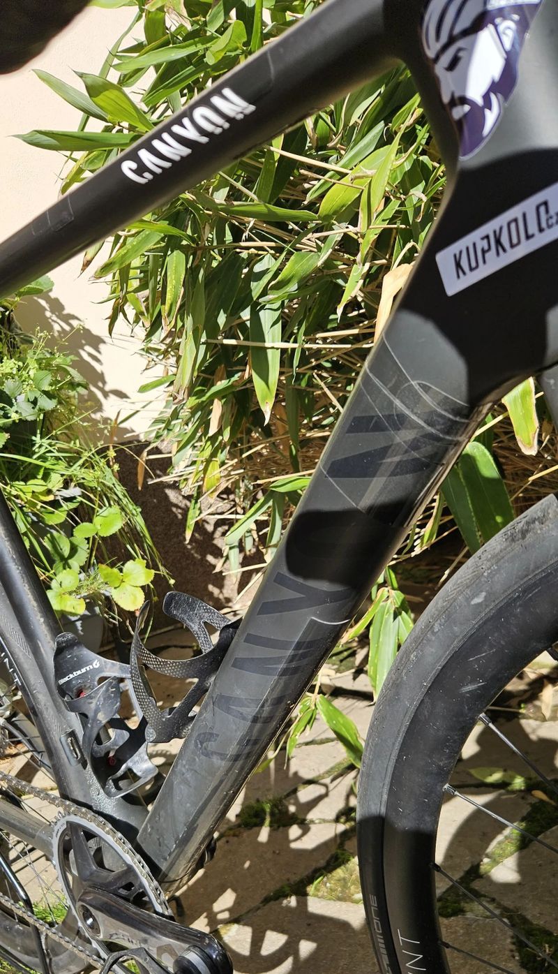 Canyon Ultimate CF SLX Disk