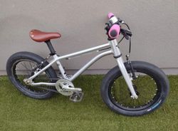 EarlyRider 16"