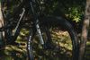 Propain Spindrift 4 CF Mix