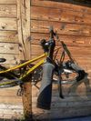 Rascal 20"