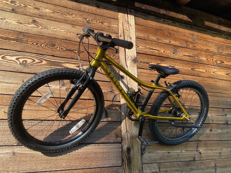 Rascal 20"