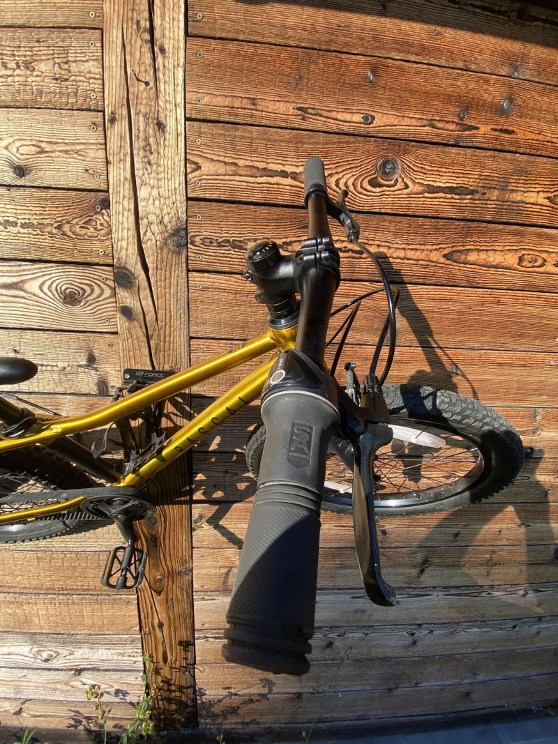Rascal 20"