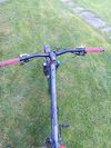 Dartmoor Primal 29